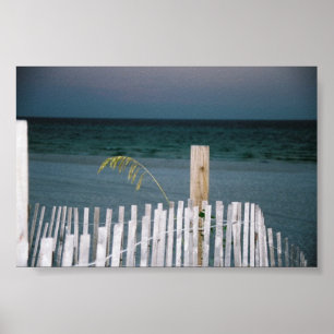 sea oat poster