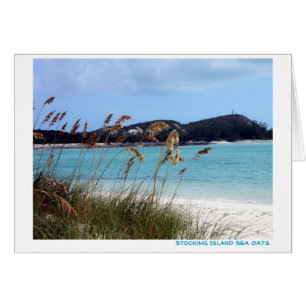 Sea Oats