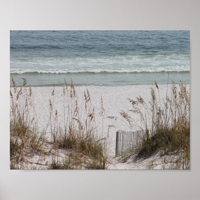 Sea Oats Along the Beach Side Poster (Front)