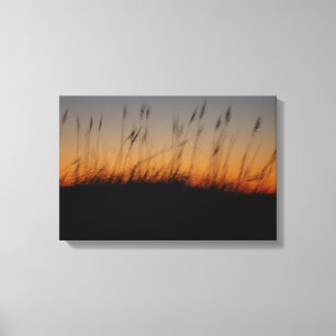 Sea Oats and Dunes at Sunset Canvas Print
