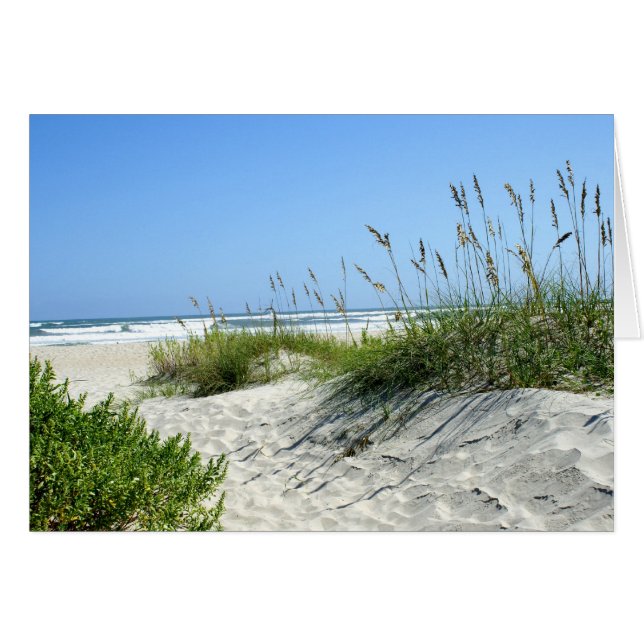 Sea Oats at Ocracoke (Front Horizontal)