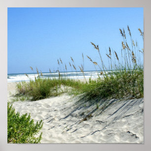 Sea Oats at Ocracoke Poster