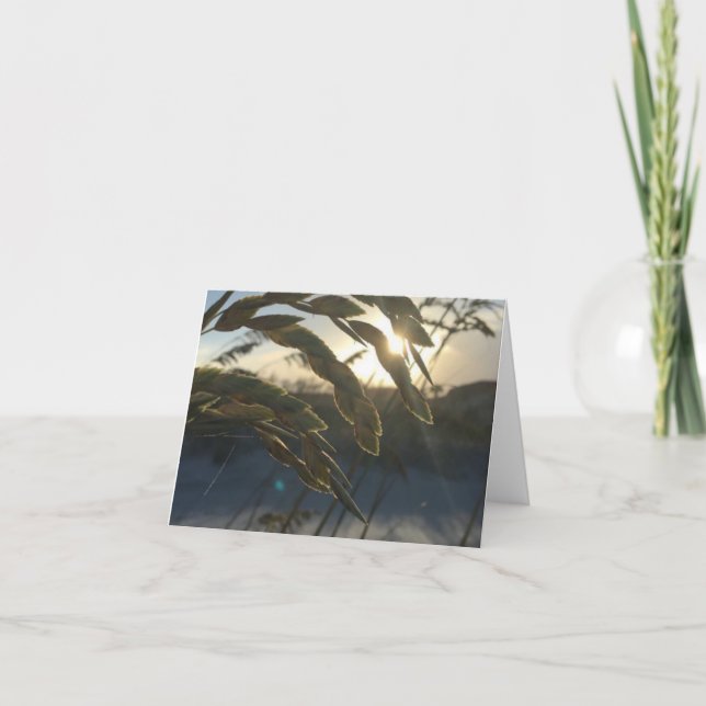 Sea Oats note card (Front)