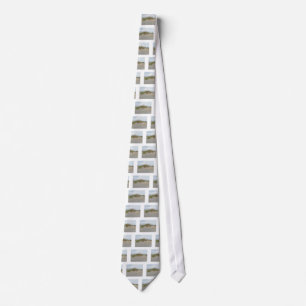 Sea Oats on Sand Dune Outer Banks NC Tie