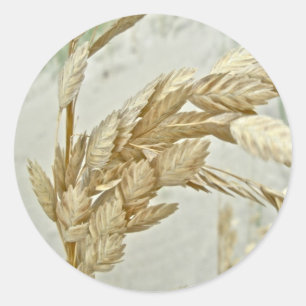 Sea Oats Outer Banks NC Series Classic Round Sticker