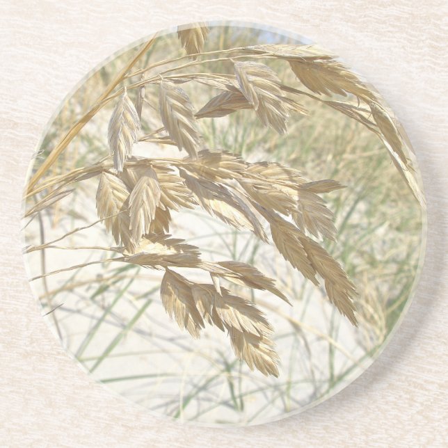 Sea Oats Outer Banks NC Series Coaster (Front)