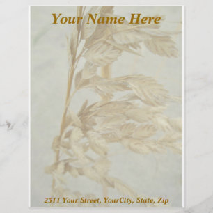 Sea Oats Outer Banks NC Series Letterhead Design