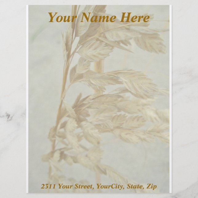 Sea Oats Outer Banks NC Series Letterhead Design (Front)