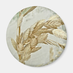 Sea Oats Outer Banks NC Series Magnet