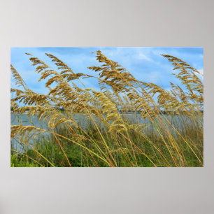 Sea Oats Poster