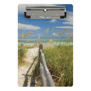 Sea oats Uniola paniculata) growing by beach Mini Clipboard