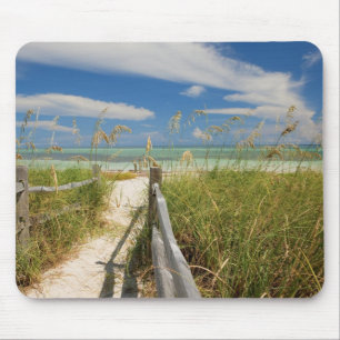 Sea oats Uniola paniculata) growing by beach, Mouse Mat