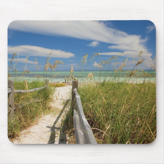 Sea oats Uniola paniculata) growing by beach, Mouse Mat (Front)