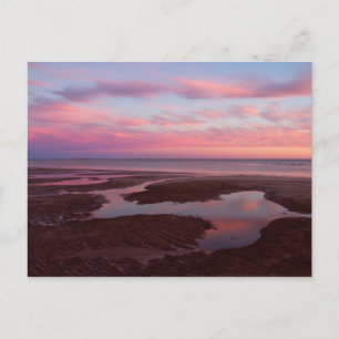 Sea Of Cortez At Dusk Postcard