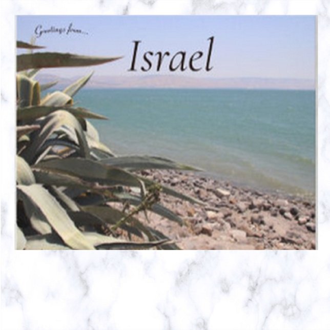 Sea of Galilee Capernaum Israel Postcard (Creator Uploaded)