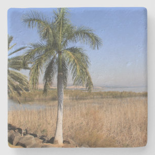 Sea of Galilee, Israel Square Coaster