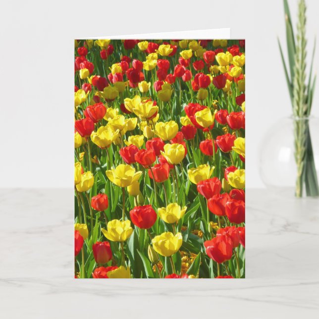 Sea of Tulips Card (Front)