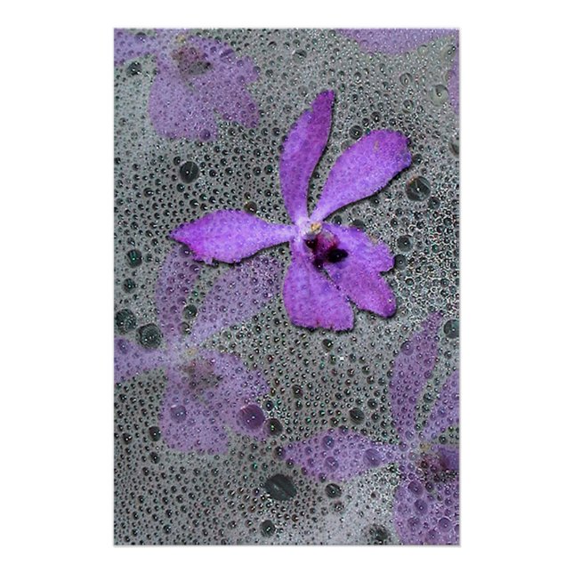 Sea orchid poster (Front)