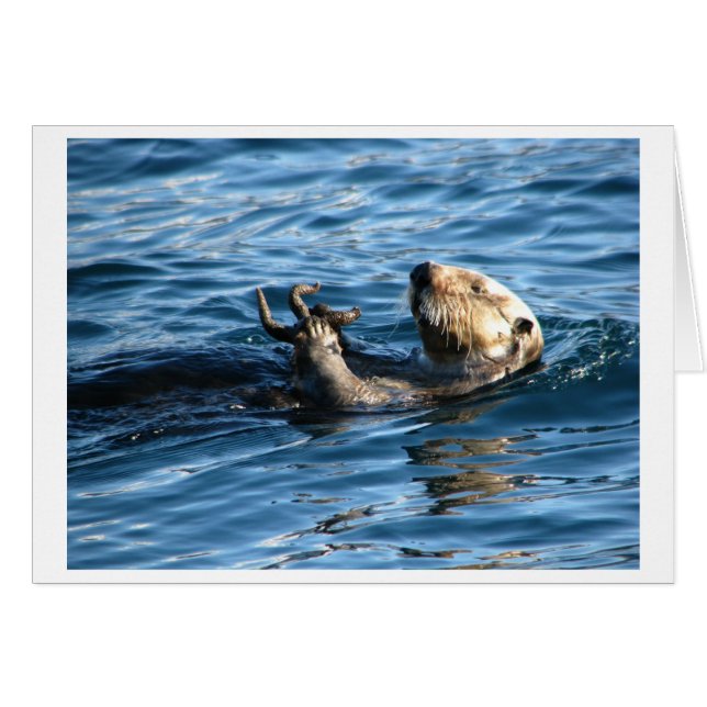 Sea Otter (Front Horizontal)