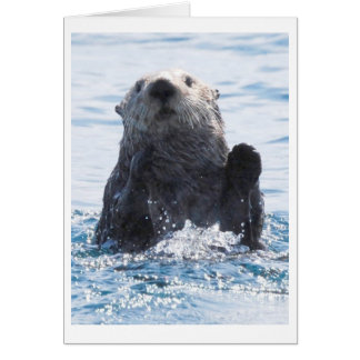 sea otter