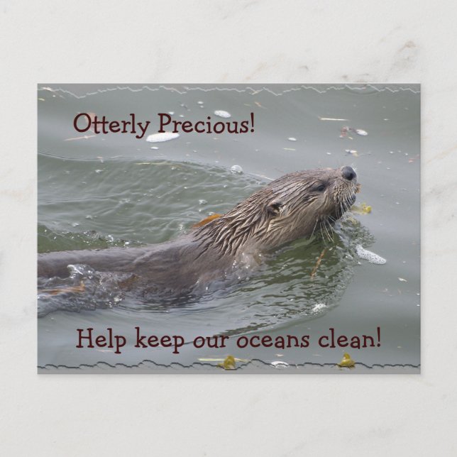 Sea Otter Anti-Pollution Postcard (Front)