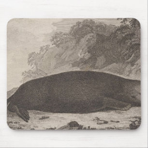 Sea otter, British Columbia Mouse Mat