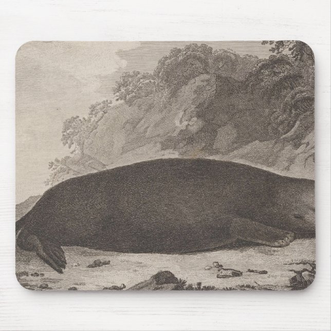 Sea otter, British Columbia Mouse Mat (Front)