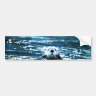 Sea Otter Bumper Sticker