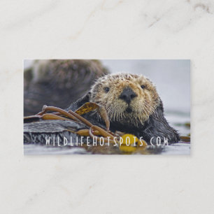 Sea Otter Business Card