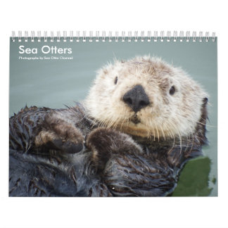 Sea Otter Channel Calendar #1