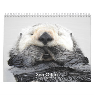 Sea Otter Channel Calendar #2