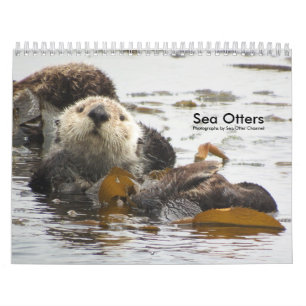 Sea Otter Channel Calendar #3