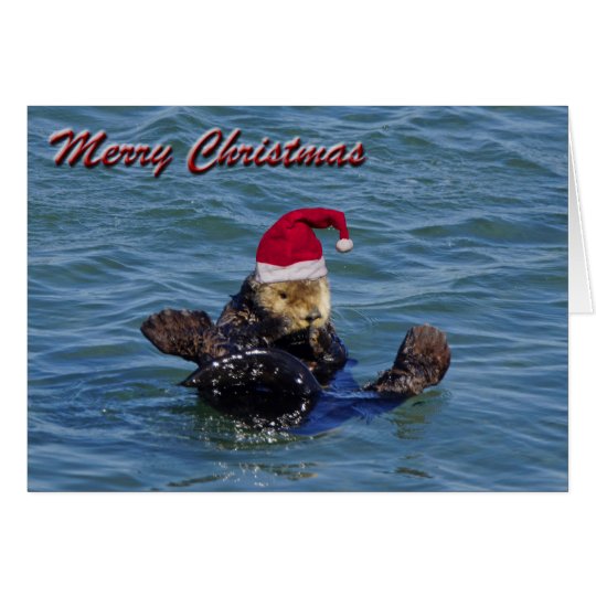 Sea Otter Christmas Card