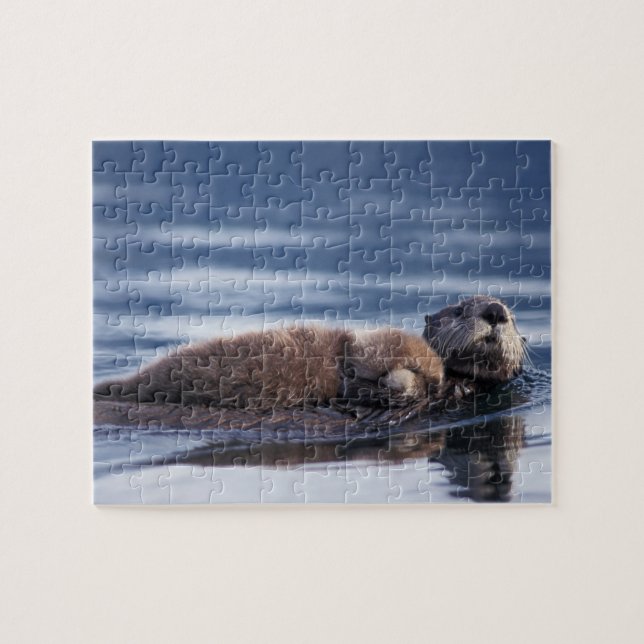 sea otter, Enhydra lutris lutris Jigsaw Puzzle (Horizontal)
