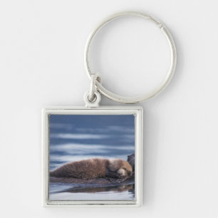 sea otter, Enhydra lutris lutris Key Ring