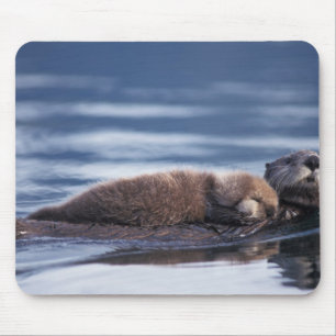 sea otter, Enhydra lutris lutris Mouse Mat