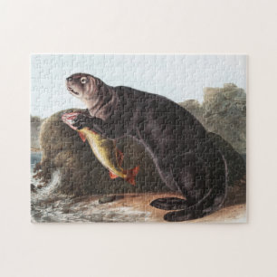 Sea Otter (Enhydra marina) Illustration Jigsaw Puzzle