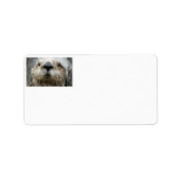 Sea Otter Face Photo Address Labels