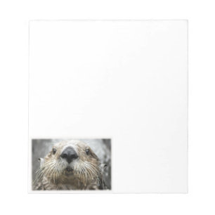 Sea Otter Face Photo Notepads