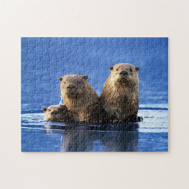 Sea Otter Family, Jigsaw Puzzle (Horizontal)