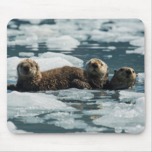 Sea Otter Family Mouse Mat