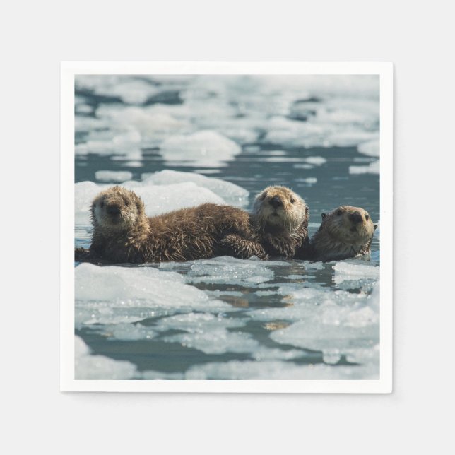 Sea Otter Family Napkin (Front)