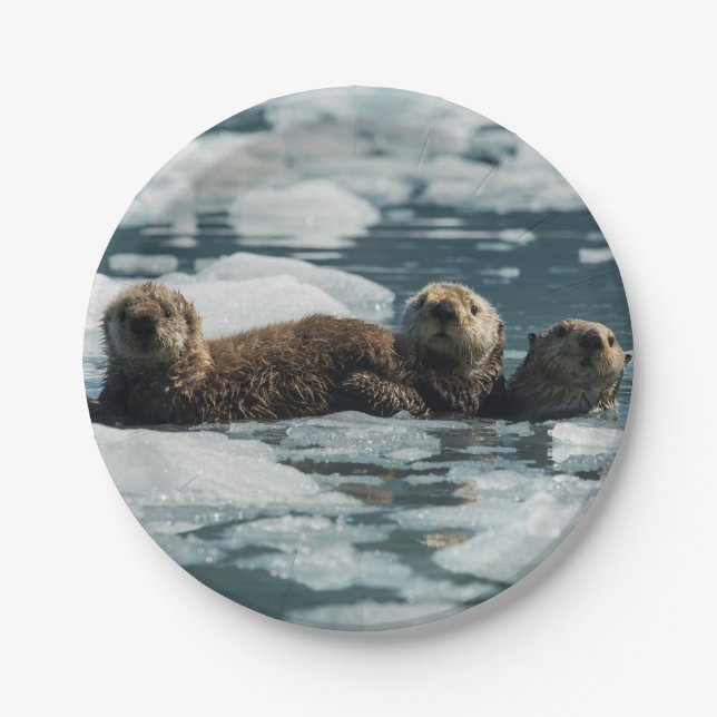 Sea Otter Family Paper Plate (Front)