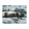 Sea Otter Family