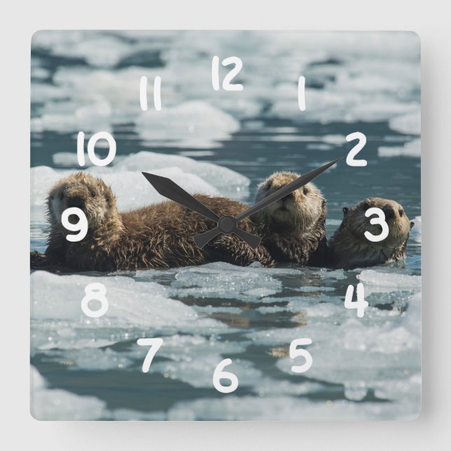 Sea Otter Family Square Wall Clock (Front)