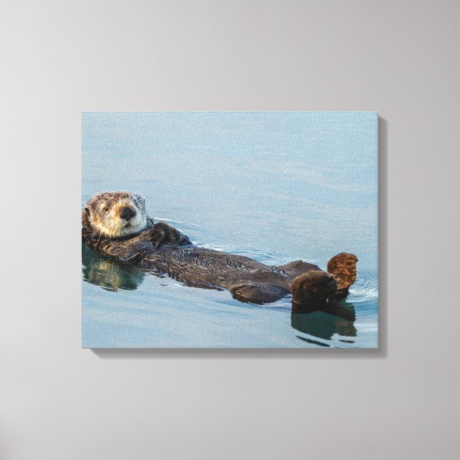 Sea otter floating on back in ocean canvas print (Front)