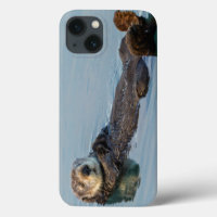 Sea otter floating on back in ocean