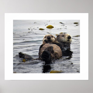 Sea Otter Mum and Pup Poster