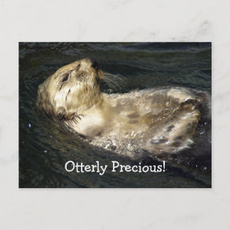 Sea Otter Postcard