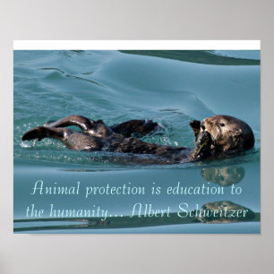 Sea otter Reflection with Famous quote poster